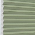 Losana Watercress Dimout Cellular Fabric - Smooth Blind Losana Watercress Dimout Cellular Fabric - Smooth Blind